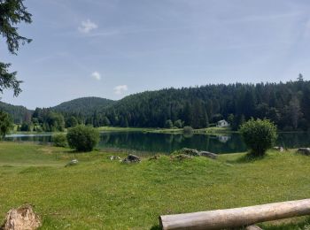 Tocht Elektrische fiets Bellignat - Bellignat Le Poizat Lac Genin  Bellignat  - Photo