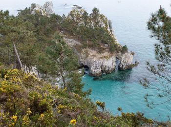 Trail On foot Crozon - Balade Sonore de l'Île Vierge - Photo