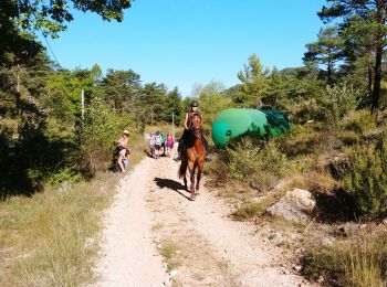 Randonnée Marche Aups - Aups - Photo