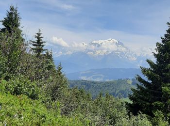 Trail Walking Megève - Le petit Croisse Baulet  - Photo