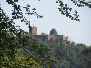 Trail On foot Gleiszellen-Gleishorbach - Karlsplatzweg, Klingenmüster - Photo