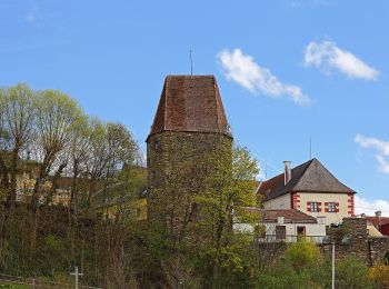 Excursión A pie Gemeinde Zwettl-Niederösterreich - Naturfreundeweg 11 - Photo