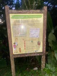 Trail Trail Gourbeyre - Gourbeyre  - Photo