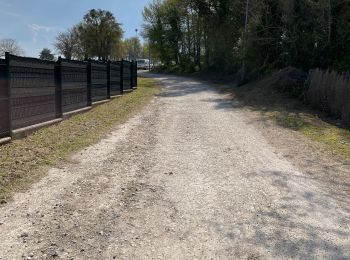 Excursión Senderismo Dannemois - Le moulin des noues - Photo