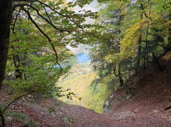 Excursión Senderismo La Vernaz - Pont du Diable - La Touvière - Lac du Jotty - Photo