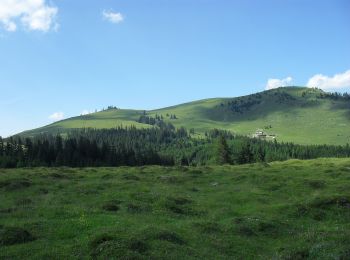 Excursión A pie Abtenau - Postalm Rundweg 2 - Photo