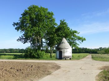 Randonnée A pied Gernsheim - Rundwanderweg Gernsheim Stockweg 5: Winkelbach-Weg - Photo