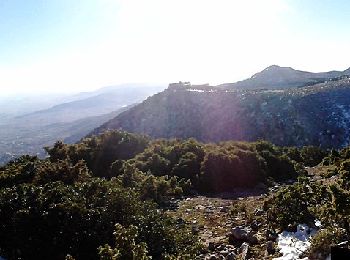 Trail On foot Municipal Unit of Acharnes - Καταφύγιο Φλαμπούρι - Μακρυχώραφο Κατσιμιδίου - Photo