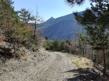 Percorso Marcia Bézaudun-sur-Bîne - tout du gourdon - Photo