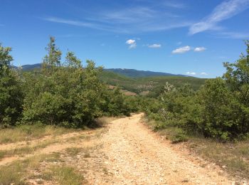 Tour Wandern Banon - Le Largue 2 - Photo