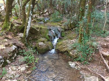 Tocht Te voet Nans-les-Pins - L'Huveaune-Nans les pins-06-10-21 - Photo