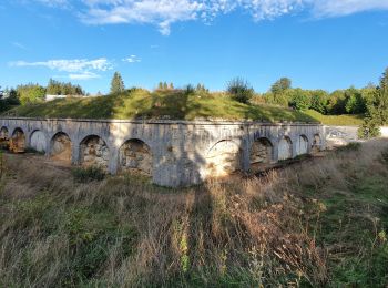 Excursión Senderismo Les Rousses - Bief de la Chaille - Photo