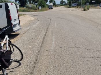 Excursión Bici de carretera Beaucaire - port St louis - Photo