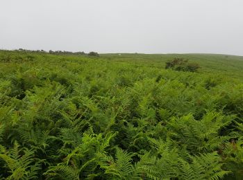 Tocht Stappen Mendionde - le mont baïgura  - Photo