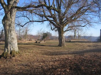 Excursión A pie Eningen unter Achalm - blaues Dreieck Metzingen - Eningen - Photo