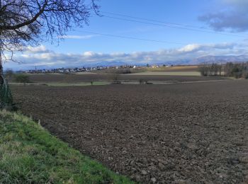 Randonnée Marche Heimsbrunn - Heimsbrunn Mors Haulibourg - Photo