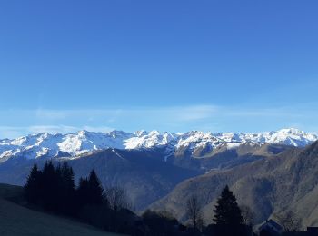 Trail Walking Artigue - Artigue Pic de Bacanère - Photo