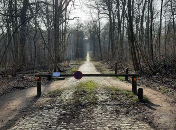 Tocht Stappen Etterbeek - De Merode à Montgomery en passant par la forêt de Soignes et plein d'étangs - Photo