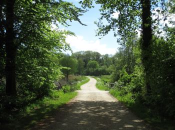 Randonnée A pied Neukirchen-Vluyn - Littard Rundweg A3 - Photo