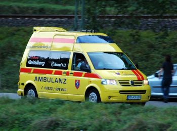 Randonnée A pied Neckargemünd - Rundwanderweg Neckarriedkopf 7 - Photo