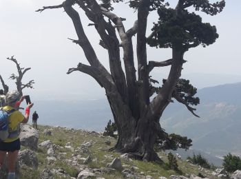 Excursión Senderismo Viggianello - impiso - piano Gaudolino - Photo