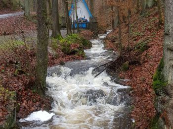 Randonnée Marche Stavelot - Extratrail_stavelot_13km_new - Photo