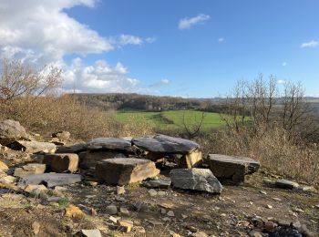 Tocht Stappen Comblain-au-Pont - Comblain au pont - Photo