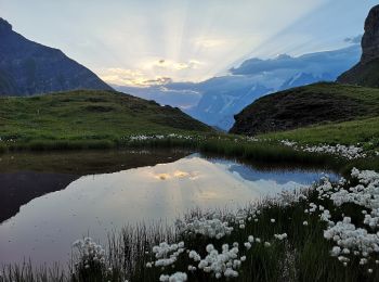 Excursión A pie Lauterbrunnen - CH-Rote Härd-Sefinenfurgge - Photo