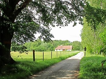 Trail On foot  - Snogeholmsleden - Photo