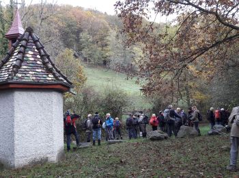 Tocht Stappen Willer-sur-Thur - 2019.11.13.Willer - Photo