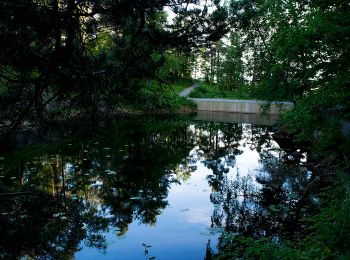 Trail On foot  - Bymarka rundt - Photo