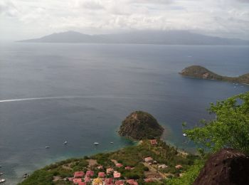 Randonnée Marche Terre-de-Haut - Les Saintes - J2 - Photo