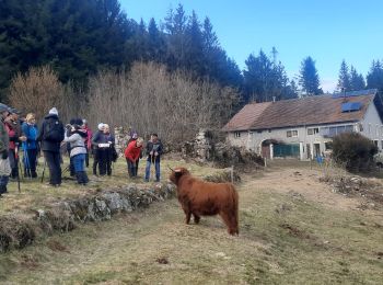 Randonnée Marche Cleurie - Vierge Fossard  - Photo