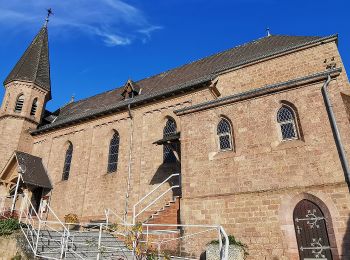 Randonnée A pied Imsbach - Kupferweg 1 - Photo