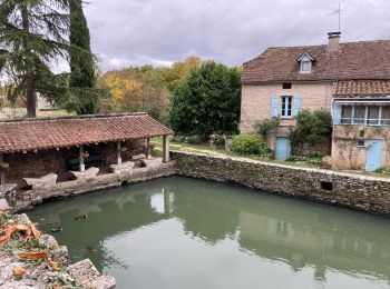 Randonnée Marche Bach - Bach varayre - Photo