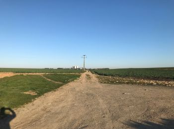 Randonnée Marche Santeny - Varennes Jarcy Villemeneux par la déchèterie  - Photo