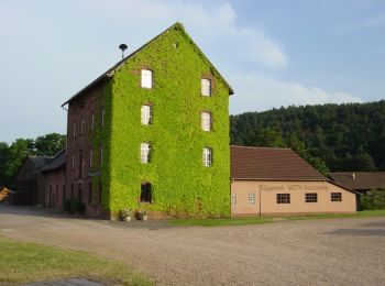 Tour Zu Fuß Forstwald - Nordic Walking 2 rot Elsenfeld - Photo