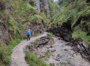 Excursión Ruta Gemeinde Kirchdorf in Tirol - Grießbachklamm – Wasserfall - Photo