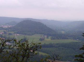 Randonnée Marche Champ-le-Duc - bruyeres - Photo