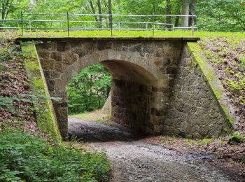 Excursión A pie Neustadt in Sachsen - Grüner Punkt, Valtenberg - Photo