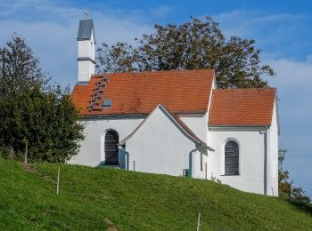 Excursión A pie Bad Saulgau - Rundwanderweg 4 - Photo