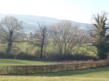 Tour Wandern Saint-André-d'Apchon - B14 - Photo