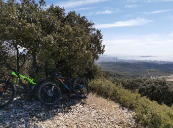 Excursión Bici de montaña Septèmes-les-Vallons - l'étoile au départ de Septèmes  - Photo