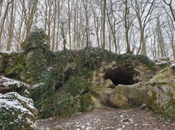 Trail Walking Gerpinnes - La Promenade de Loverval - Photo