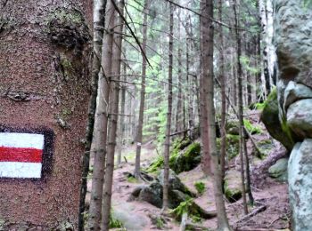 Randonnée A pied Wambierzyce - Pielgrzym - Stroczy Zakręt - Photo