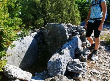 Tocht Stappen Cabris - Cabris, la pierre druidique, le dolmen et la croix de Cabris - Photo