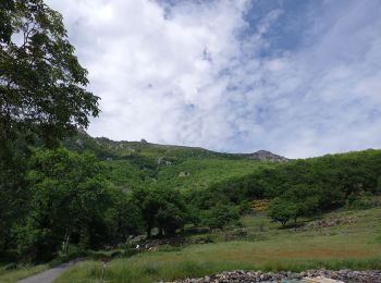 Percorso Marcia Valgorge - Le Tanargue - Photo