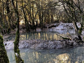 Tocht Stappen Vallon-Pont-d'Arc - Chames - Vallon de Tiourre - Photo