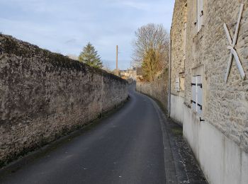 Tour Mountainbike Vienne-en-Bessin - balade ver sur mer - Photo