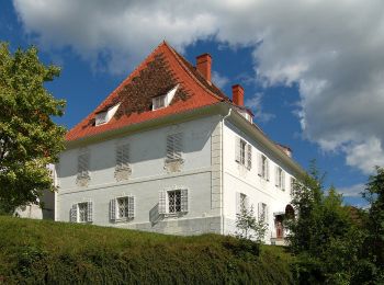 Tour Zu Fuß Stubenberg - Zeilrundweg - Photo